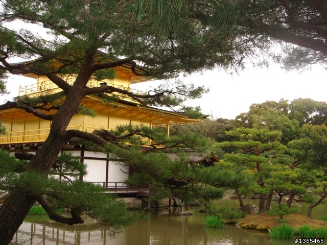 {國外 遊記} 日本賞櫻 第四天 銀閣寺 + 金閣寺 + 箱根強羅公園