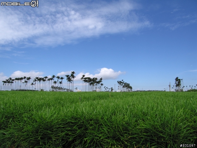 [遊記]20090627八卦山國家風景區139全線、加碼集集綠色隧道－中寮－南投139線(女王篇)