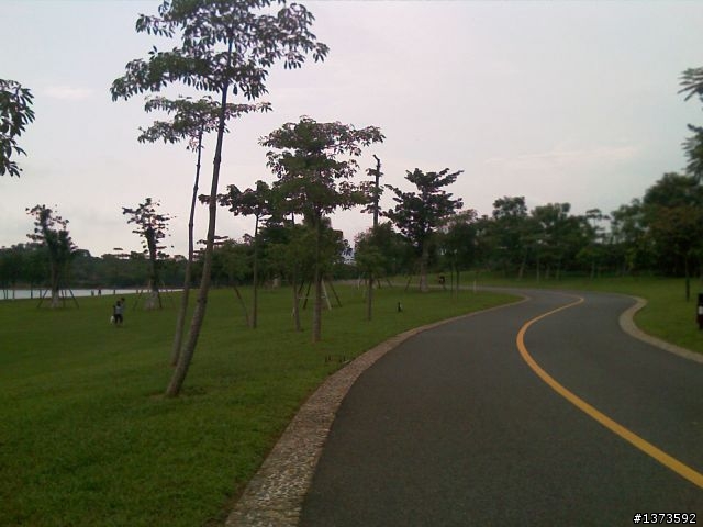 自行車界的神鵰俠侶