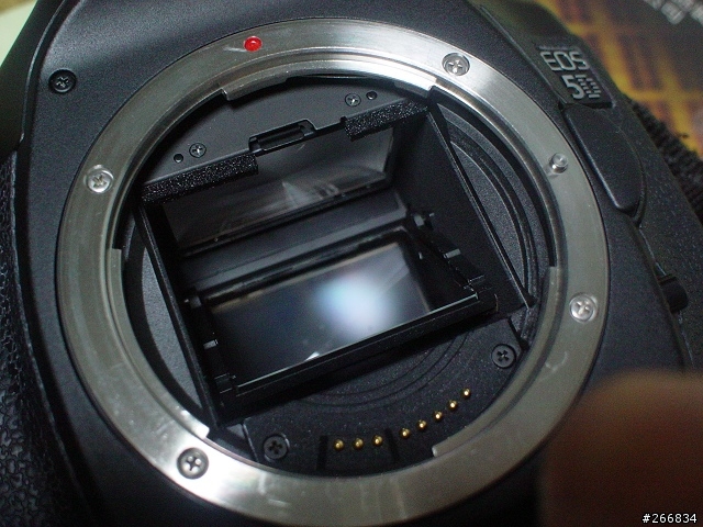 Canon 5D ~~ 出來混總有一天要還的!! 噴...(6/15 更新)