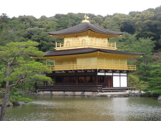 {國外 遊記} 日本賞櫻 第四天 銀閣寺 + 金閣寺 + 箱根強羅公園