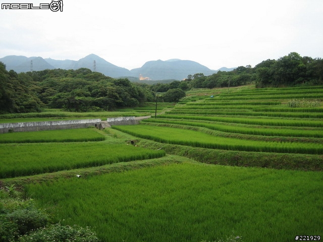 三芝的單車秘密路徑 PART 5 - 田園篇