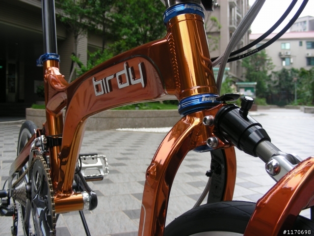 BIRDY - ORANGE (我戀橘 - 鳥) 初登場 新增 CARBON 護盤 沒看過小盤裝護盤的吧~