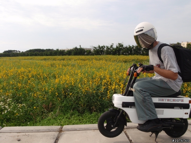 騎著 HONDA MOTOCOMPO 環遊台灣之旅!圖多更新到第七天行程...後續遊記陸續寫出