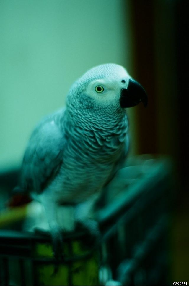蔡絲(Zeiss)迷來分享您手中的毒照吧