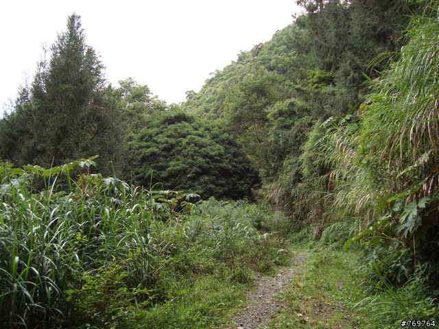[分享]6/28 小關山林道探路之不負責分享...圖多...
