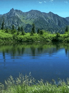 [240x320][176x220] 含其他格式 動態桌布主題 