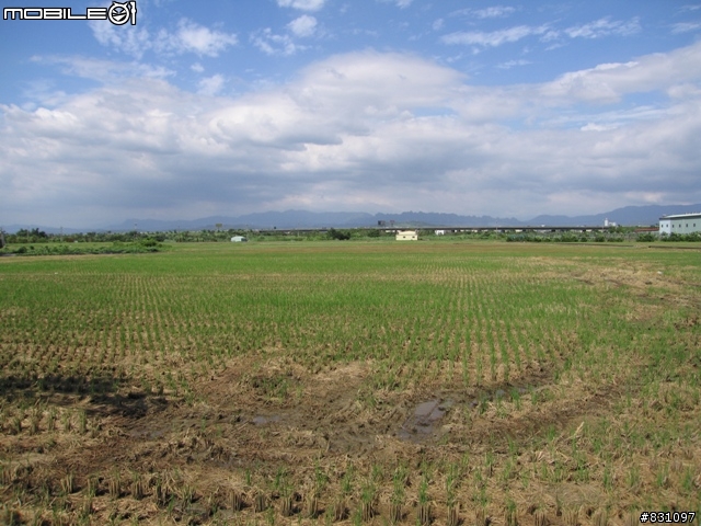 [遊記]20090627八卦山國家風景區139全線、加碼集集綠色隧道－中寮－南投139線(女王篇)