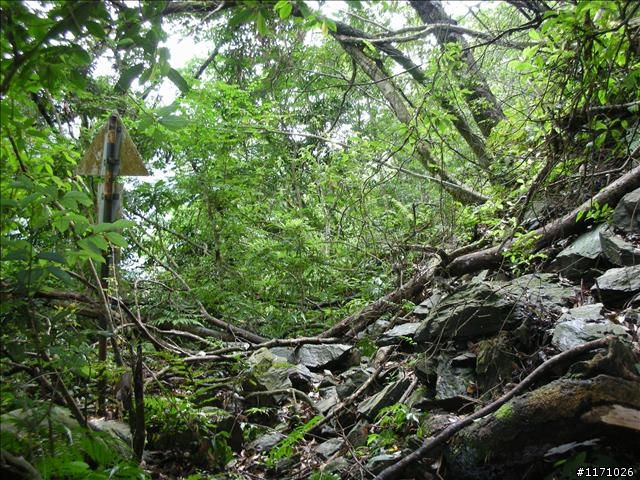西坑越嶺  (探勘篇)