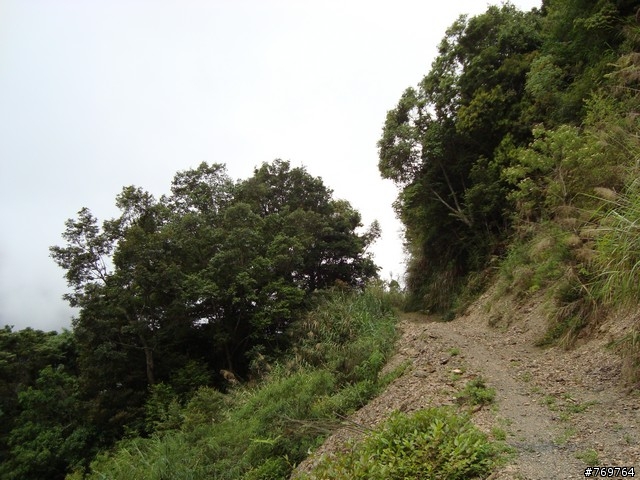[分享]6/28 小關山林道探路之不負責分享...圖多...