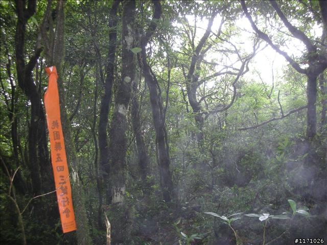 西坑越嶺  (探勘篇)