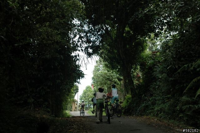巴里島騎腳踏車之旅