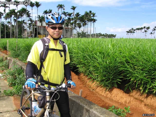 [遊記]20090627八卦山國家風景區139全線、加碼集集綠色隧道－中寮－南投139線(女王篇)