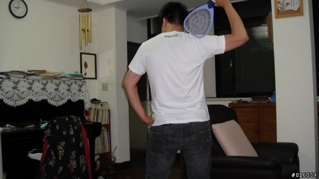 ［日本UNIQLO] 限量BIO T恤