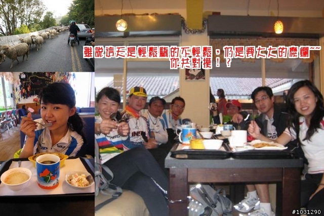 【分享】98武嶺小小試騎…