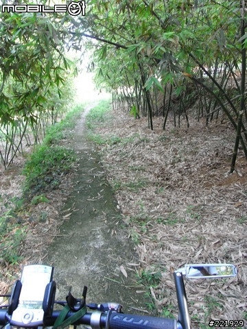 三芝的單車秘密路徑 PART 6 - 產業道路