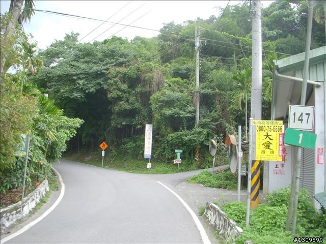 小單車前往九份二山921震爆點探幽