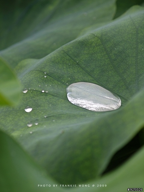 防潮柜深處的雙Kit鏡, 竟然給我意外驚喜