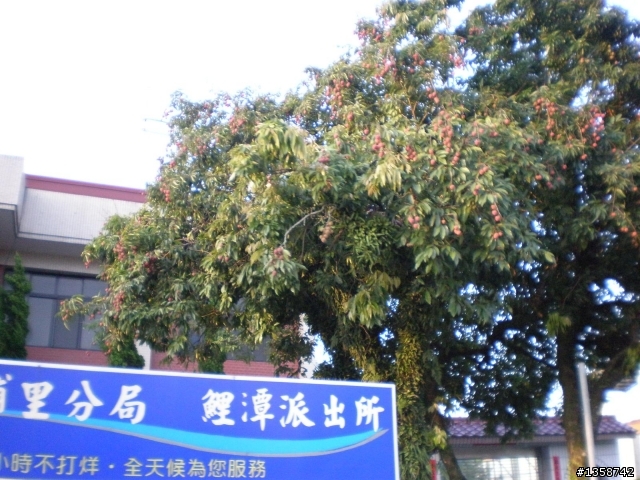 超猛之武嶺攻頂