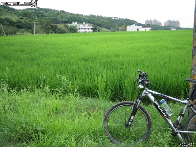 三芝的單車秘密路徑 PART 5 - 田園篇