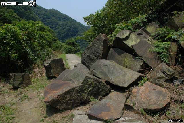 D80~大粗坑步道與金瓜石