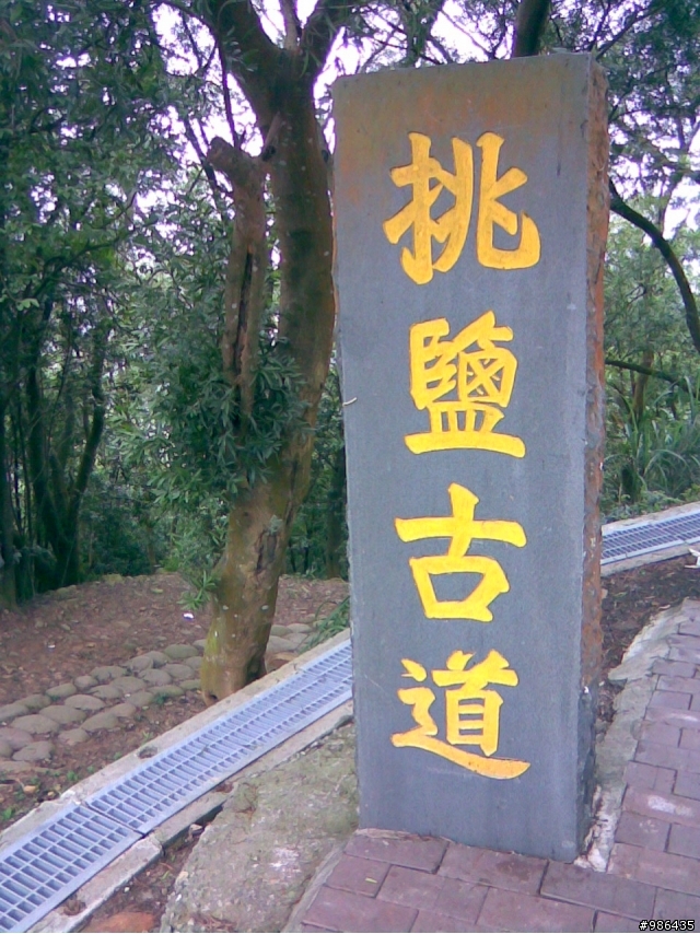 銅鑼自行車道+128線道