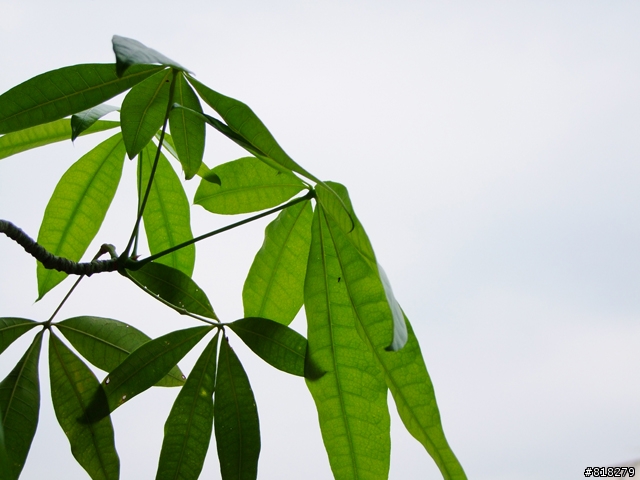 請問了解&有在使用動態範圍的大大