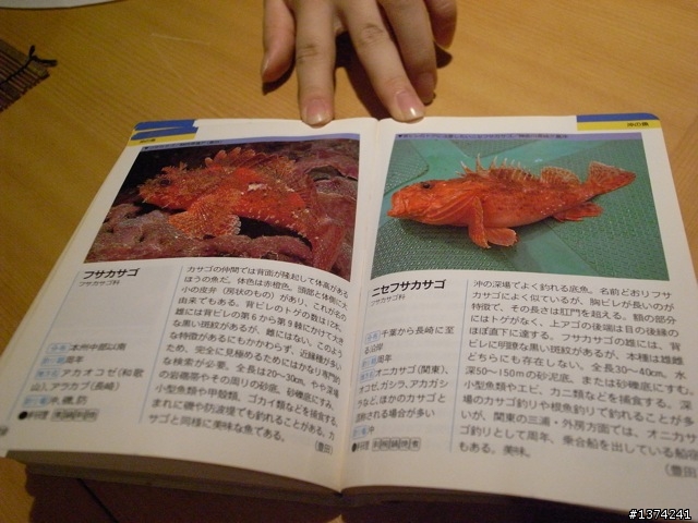 [代官山] 小巷裡發現的"韻"~ (壽司+魚料理)