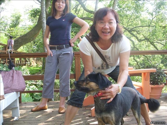 苗栗明德水庫環湖 , 外加水舞煙火秀