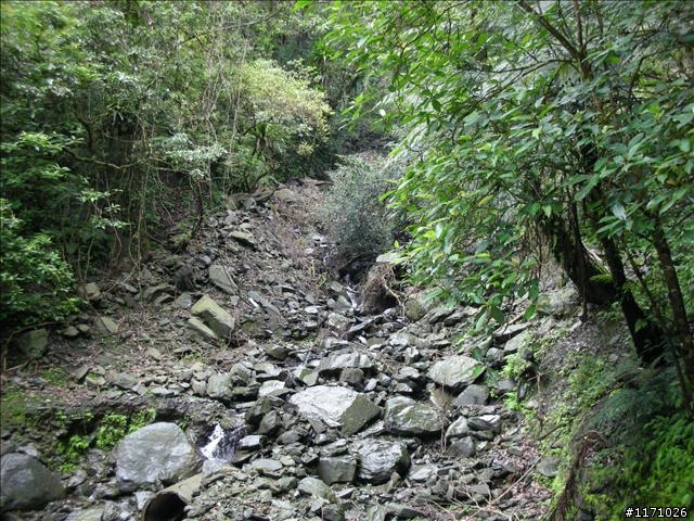西坑越嶺  (探勘篇)