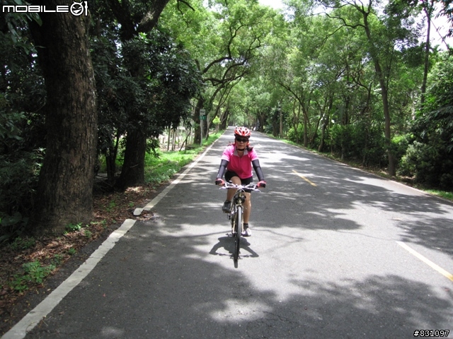 [遊記]20090627八卦山國家風景區139全線、加碼集集綠色隧道－中寮－南投139線(女王篇)