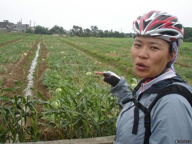 【隨緣】計畫趕不上變化一切都隨緣...啦