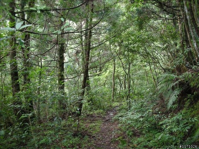 西坑越嶺  (探勘篇)