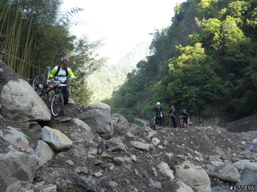 發現瀑布之旅 - 神木林道、支線