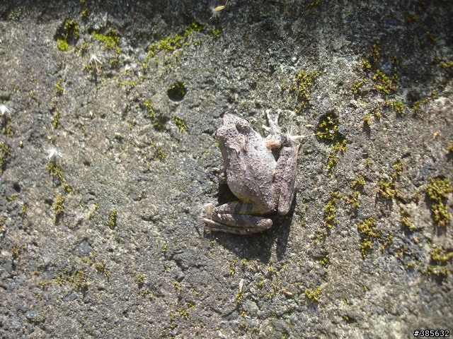 【隨緣】計畫趕不上變化一切都隨緣...啦