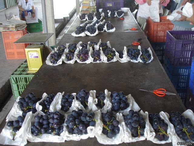 【隨緣】計畫趕不上變化一切都隨緣...啦