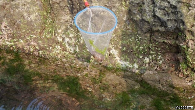 幸甫遊記之和平島半日遊