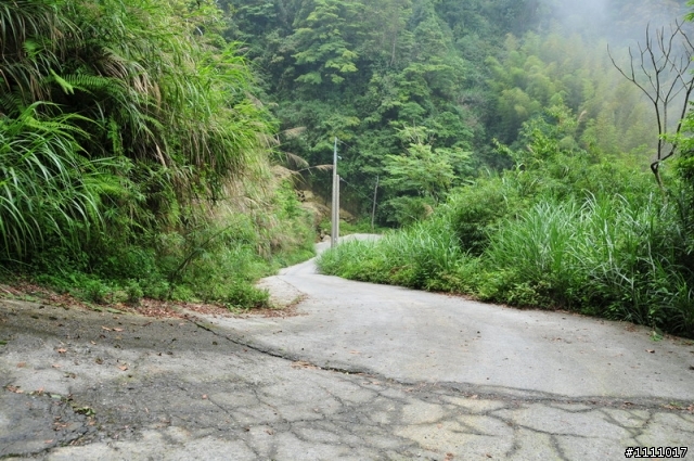 杉林溪忘憂谷