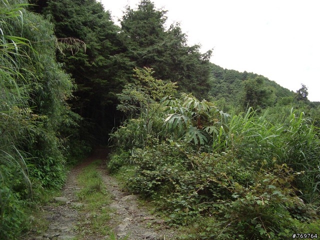 [分享]6/28 小關山林道探路之不負責分享...圖多...