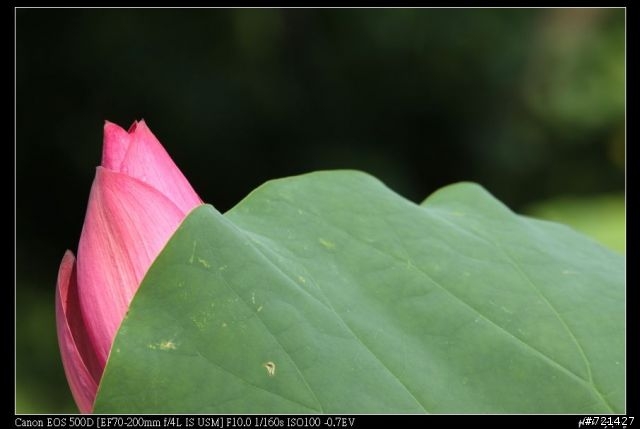 小小白is 簡易試用分享