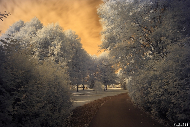誰說Canon不能紅外線攝影，Canon EOS 5D + Hoya R72