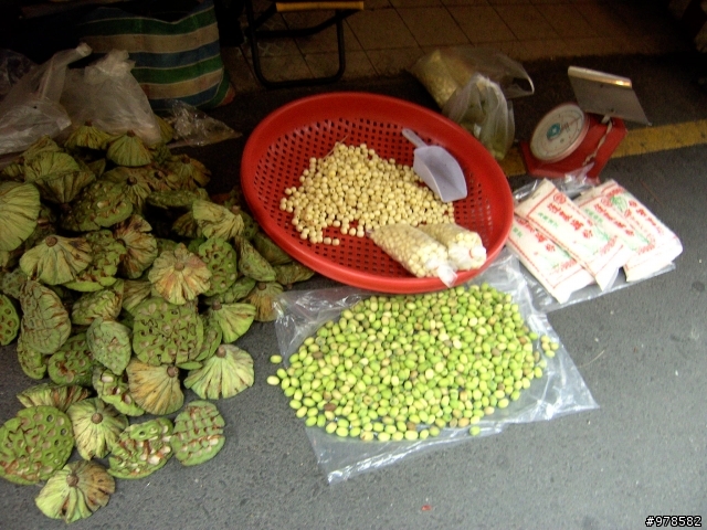 20090616再探西拉雅