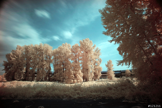 誰說Canon不能紅外線攝影，Canon EOS 5D + Hoya R72
