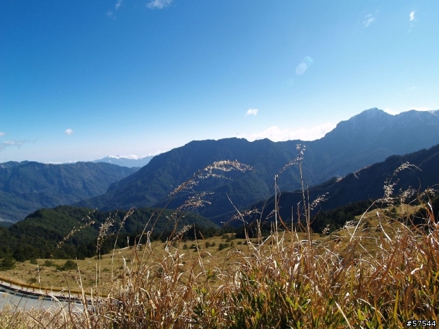 老姐的E-500   合歡山