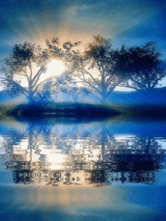 [240x320][176x220] 含其他格式 動態桌布主題 