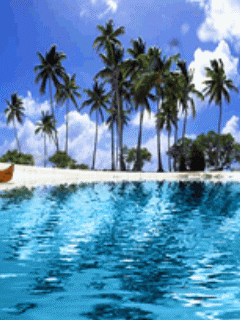 [240x320][176x220] 含其他格式 動態桌布主題 