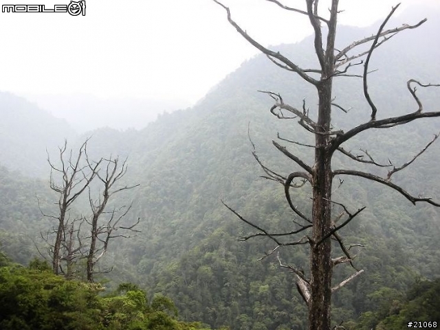 北橫雙騎(27k--62k)後段風景超優