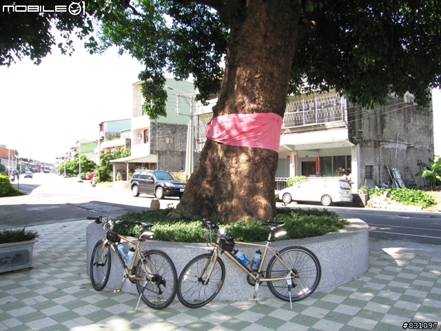 [遊記]20090627八卦山國家風景區139全線、加碼集集綠色隧道－中寮－南投139線(女王篇)