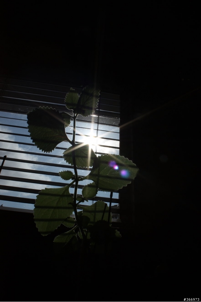 新手這些該如何改進? Canon XSi (450D)