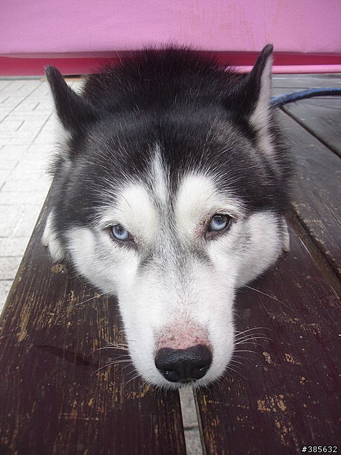 【隨緣】計畫趕不上變化一切都隨緣...啦